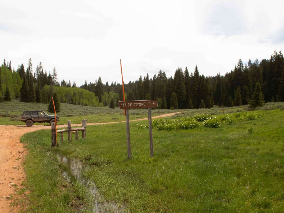6 Bit Springs Road trail photo
