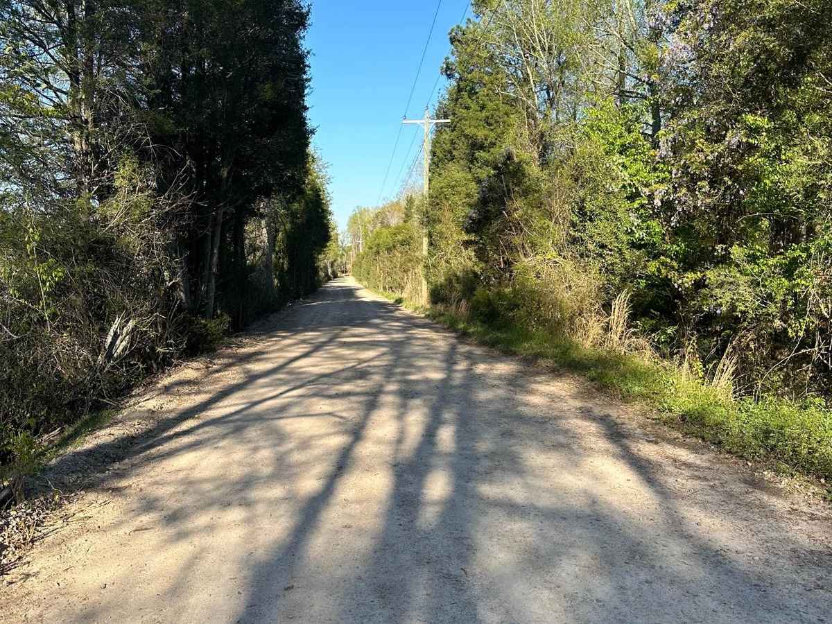 Elbert Taylor Road photo 6