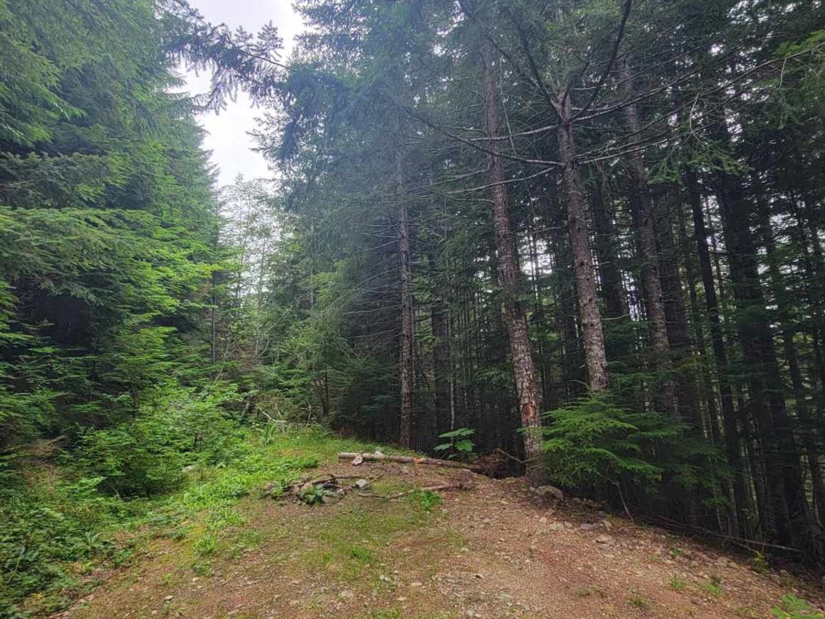 West Mesatchee photo 5