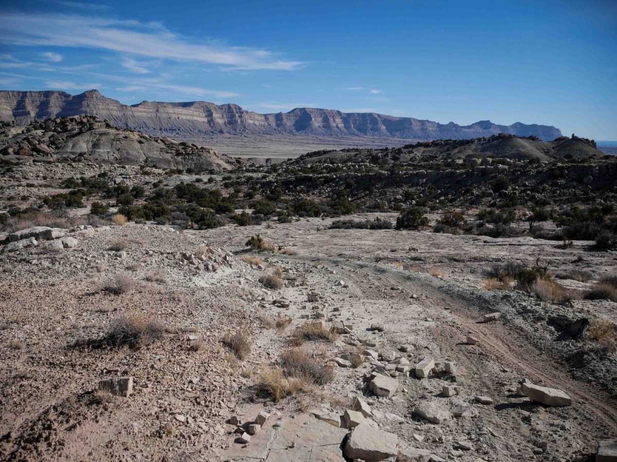 Odds West Access Trail photo 4