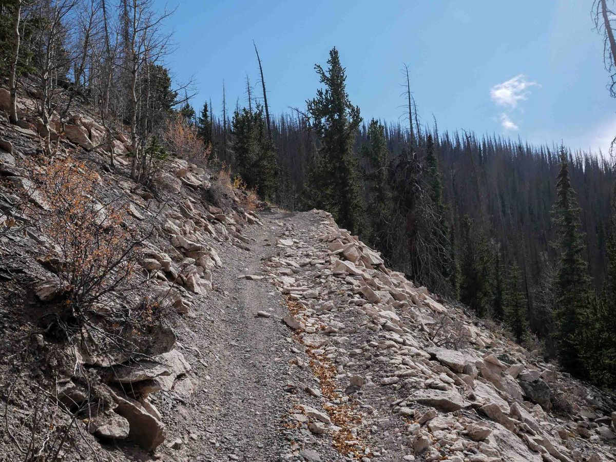 West Alder ATV 798  photo 2
