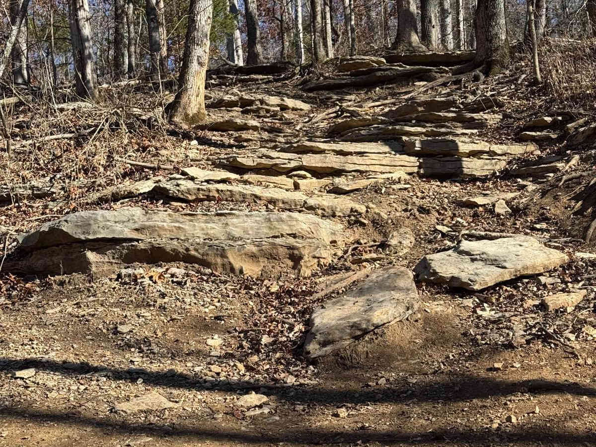 Red 218 trail photo