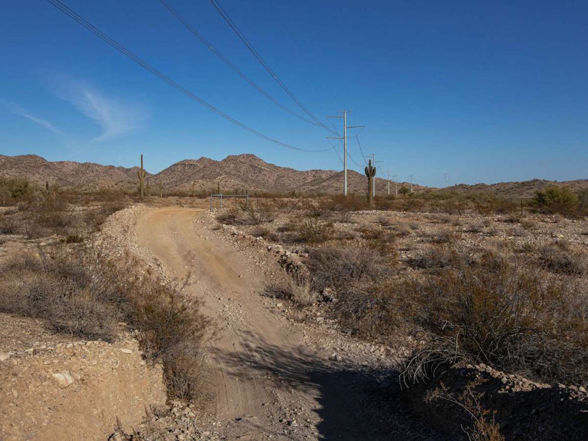 Saguaro Power photo 4
