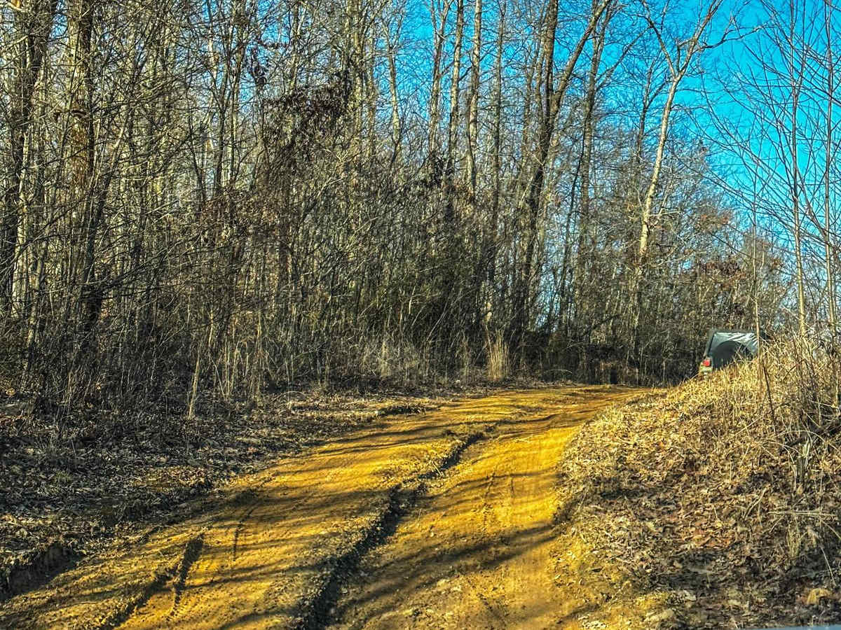 Poplar Springs Trail photo 3