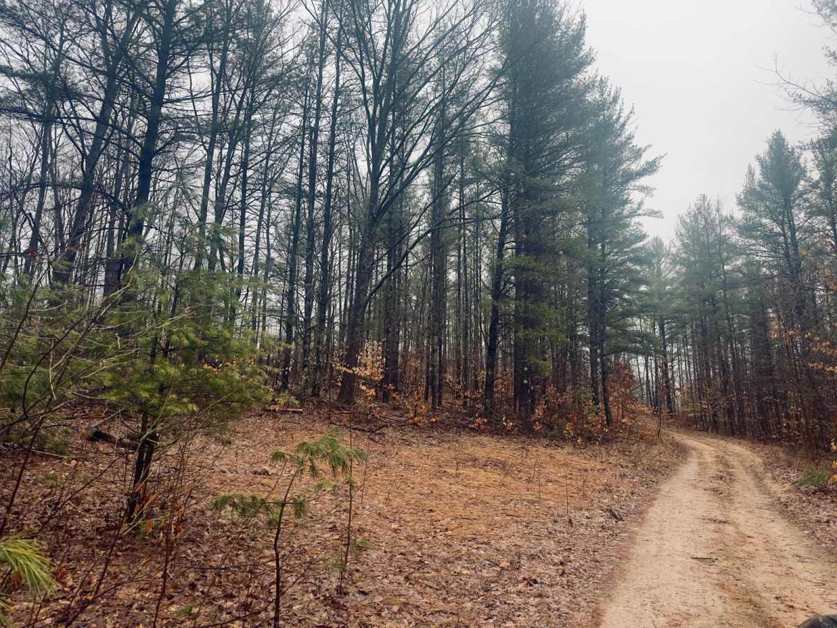 Haynes Lake Trail photo 2