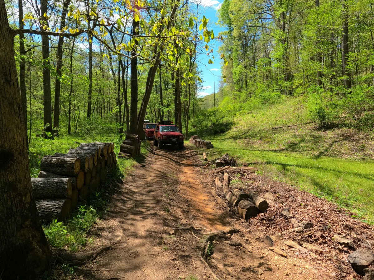 Stacked Log Trail trail photo