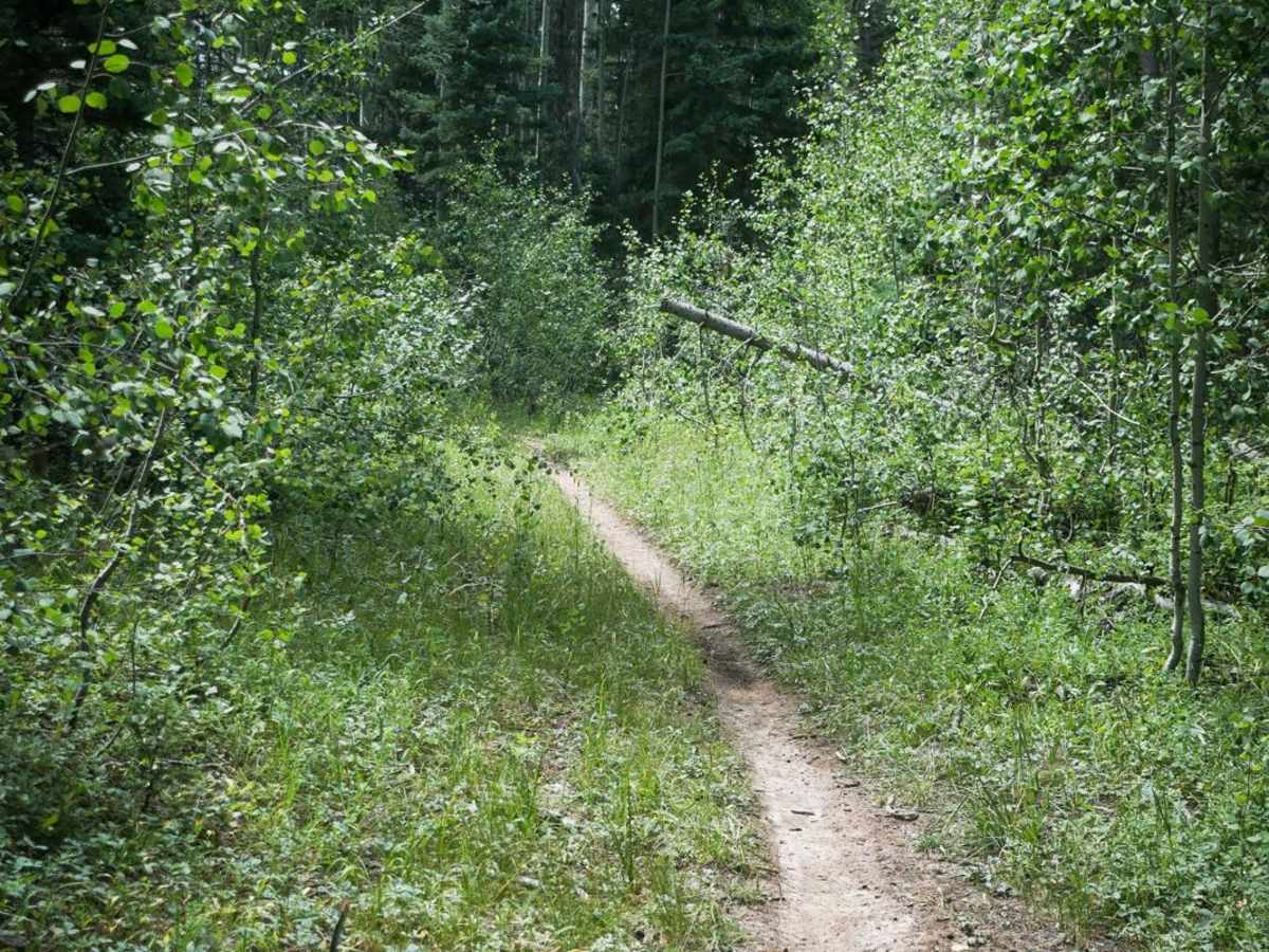Morrison Trail (Part 1) trail photo