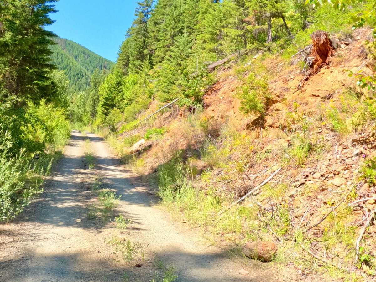 Oregon Creek photo 6