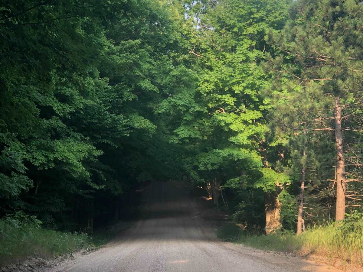 Aylsworth Road Part 1 trail photo