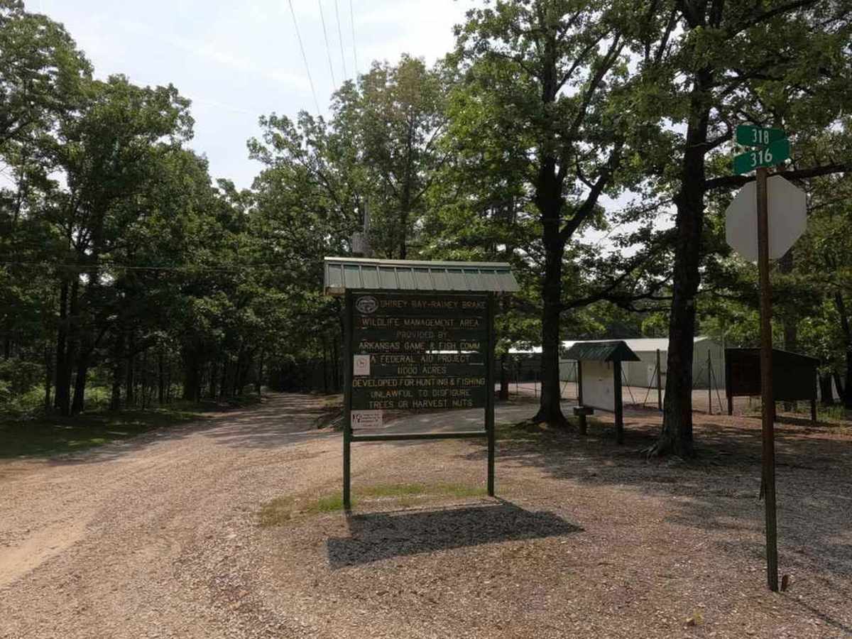 Rainey Brake WMA Road trail photo