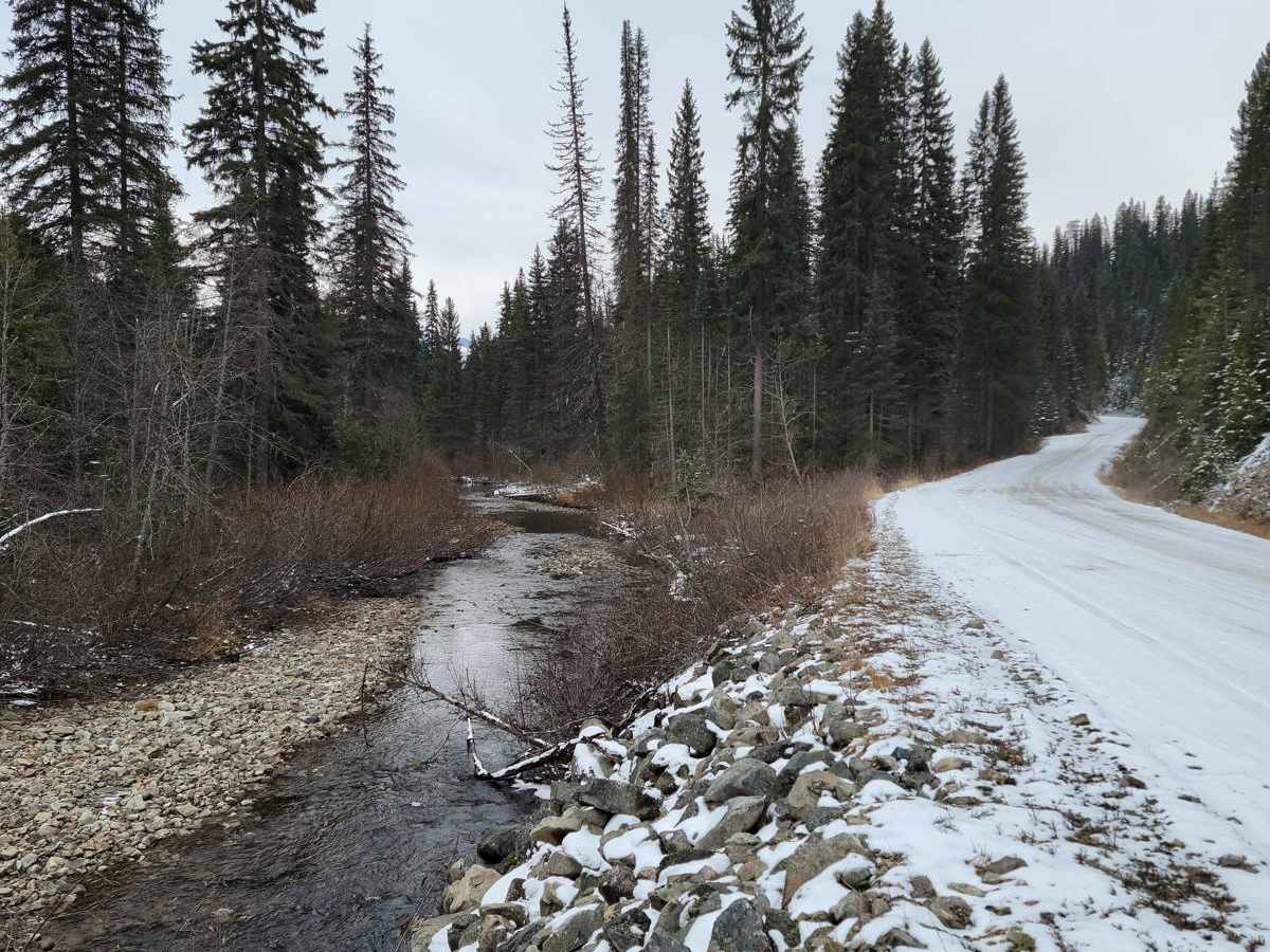 Bisson Lake photo 4