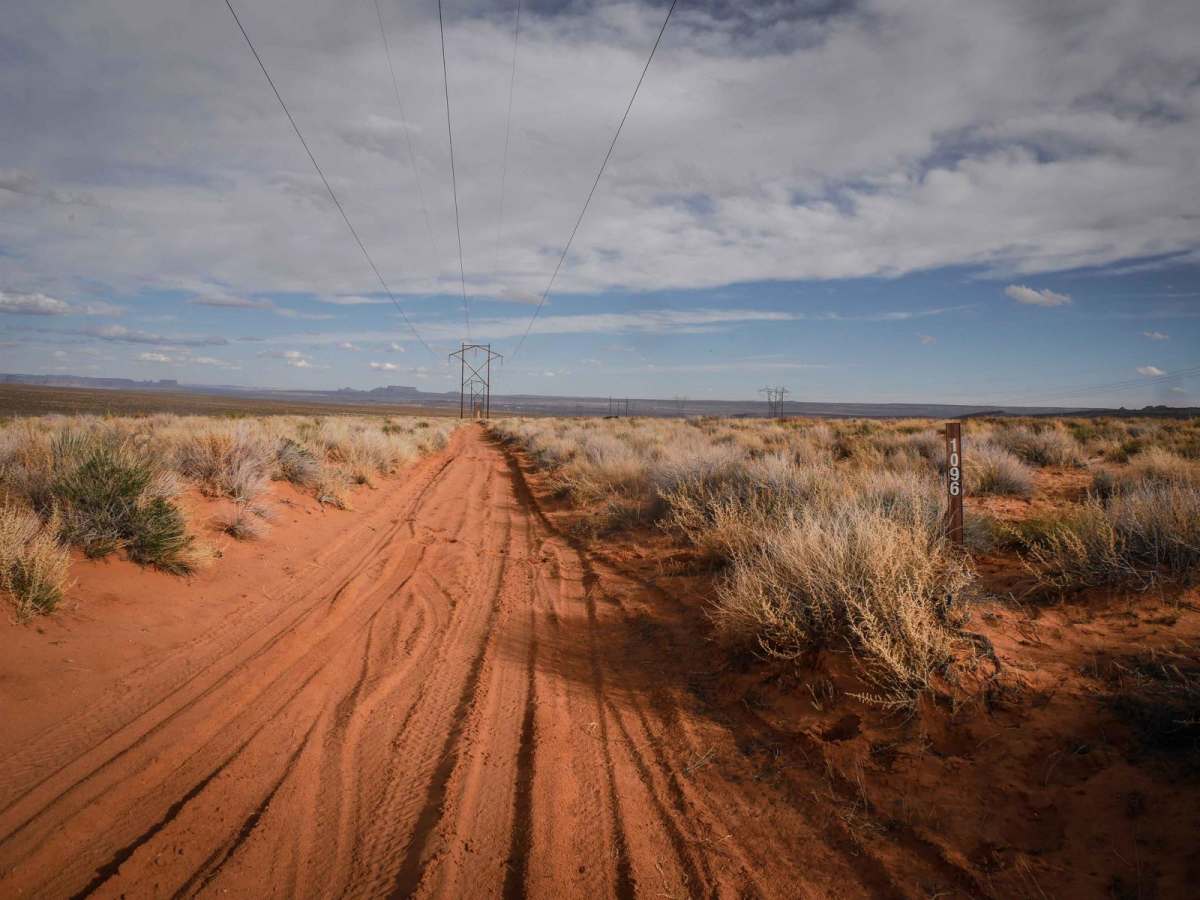 Powerline Road photo 6
