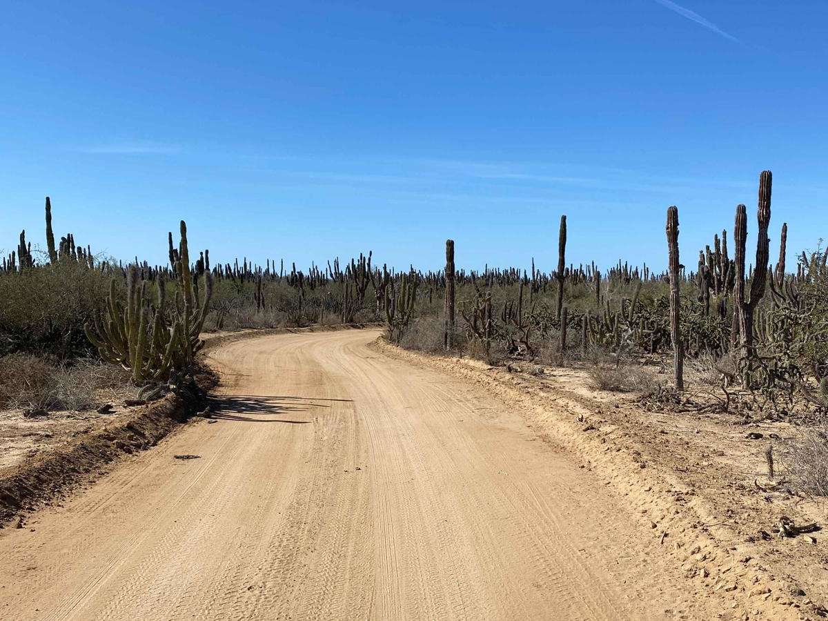 High Road Ejido Meliton photo 4