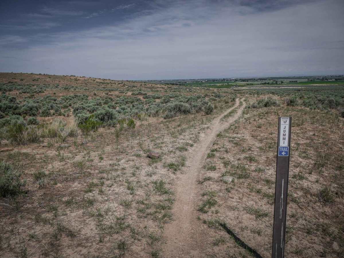 Jummi trail photo