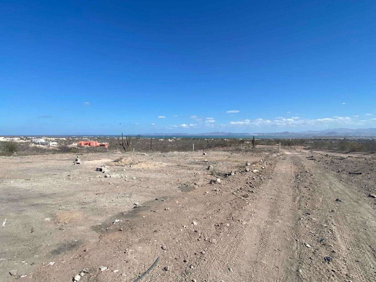 Centenario Cutoff photo 5