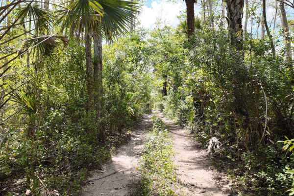 Blu 4 Trail