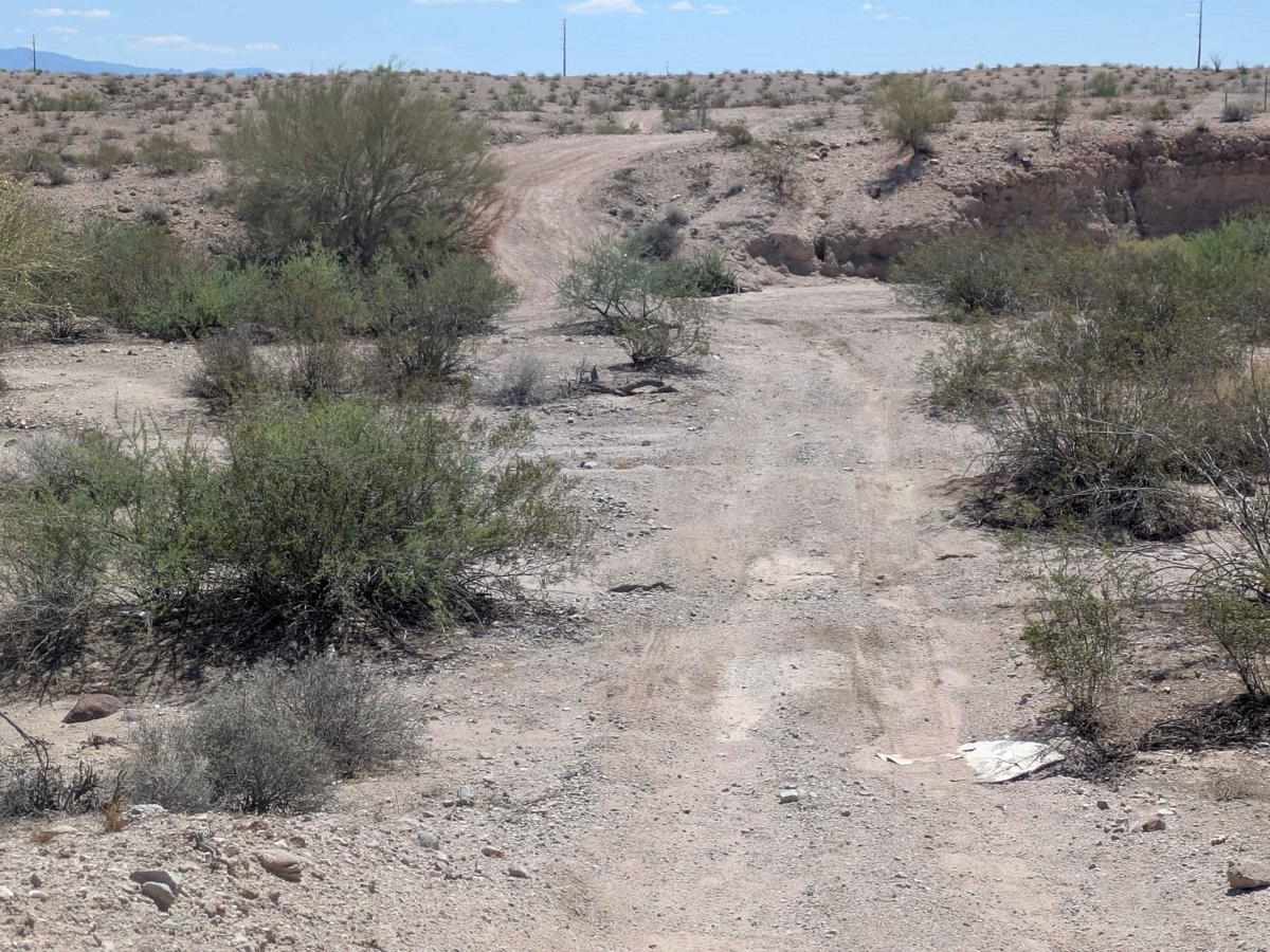 RV Oasis Bypass East photo 4