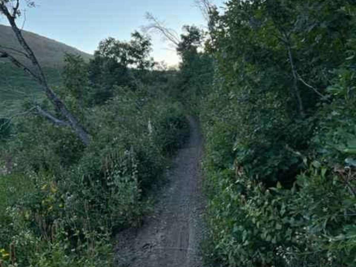 Coldwater Peak (6087) photo 6