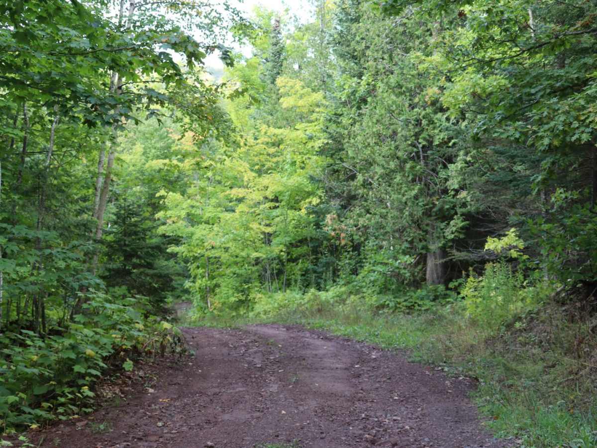 Union Creek trail photo