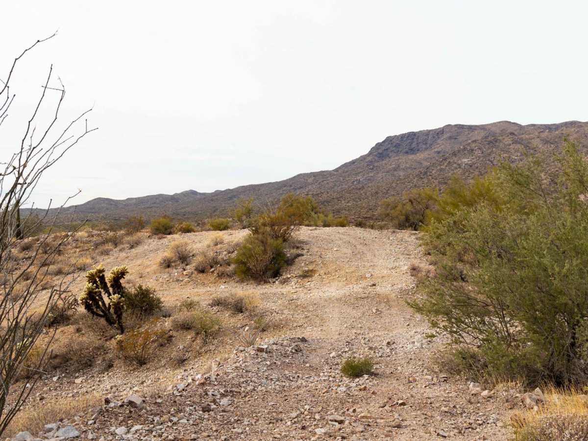 Browns Canyon and Mine Access trail photo