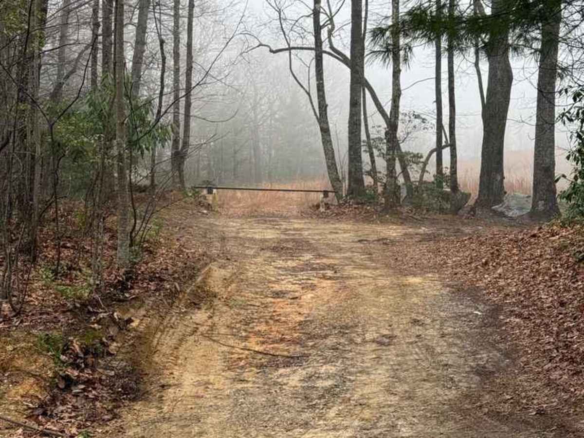 Roseboro Road - FS 981 photo 6