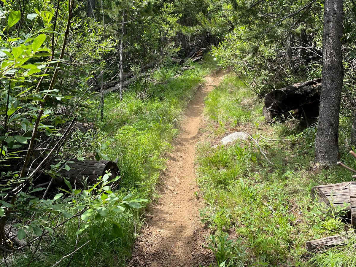 Scribner Ridge photo 4