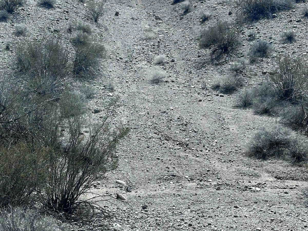 BLM Route 7947 photo 3