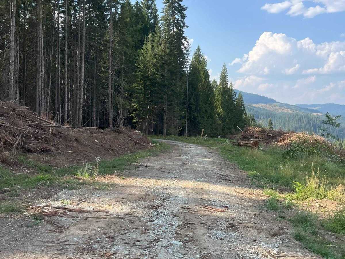 Little Meadow Creek OHV Campground trail photo