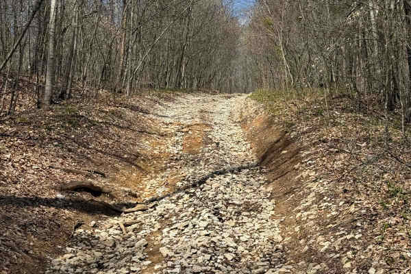 Billey Fork Road