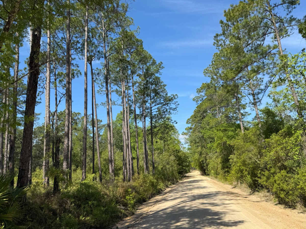 Evano Trail photo 4