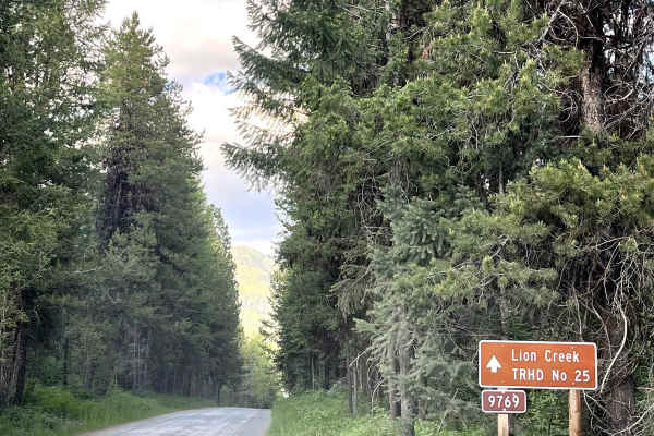 Upper Lion Creek - NF9769