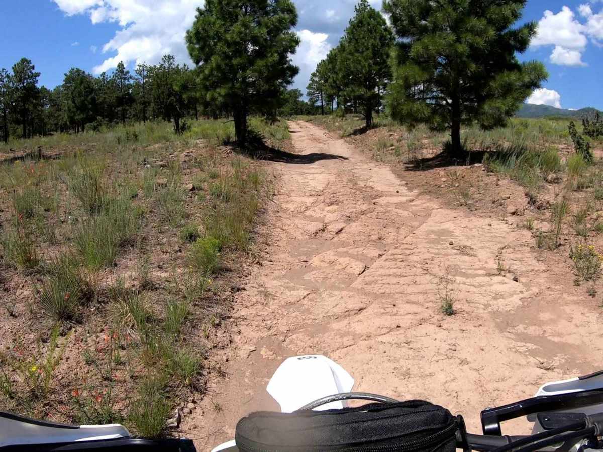FR445B trail photo