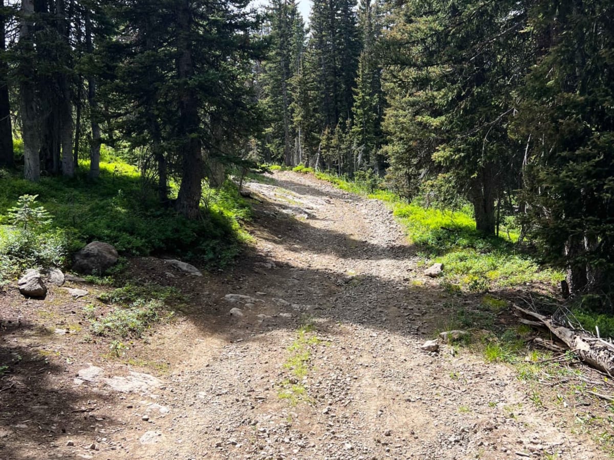 Walton Peak photo 2