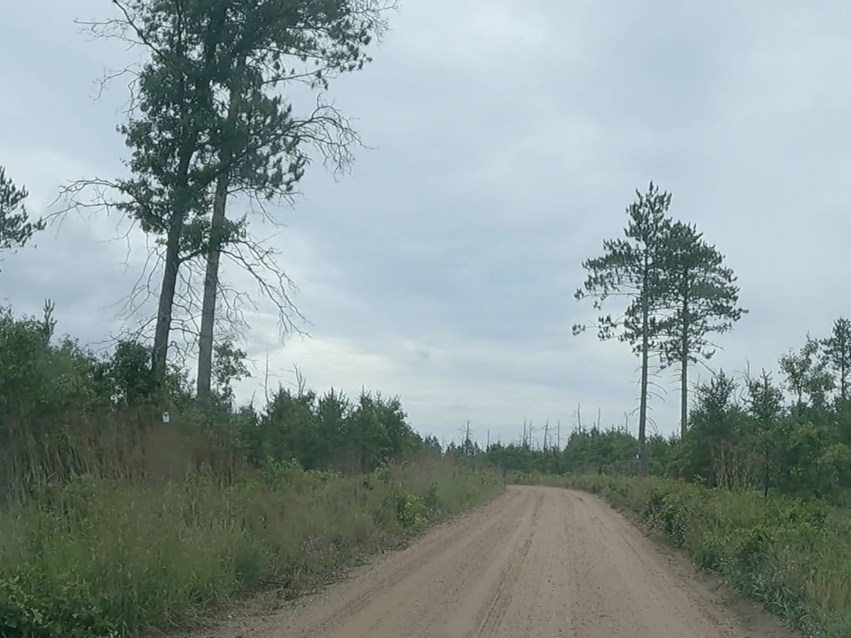 River Lake - NFS 4210 photo 3
