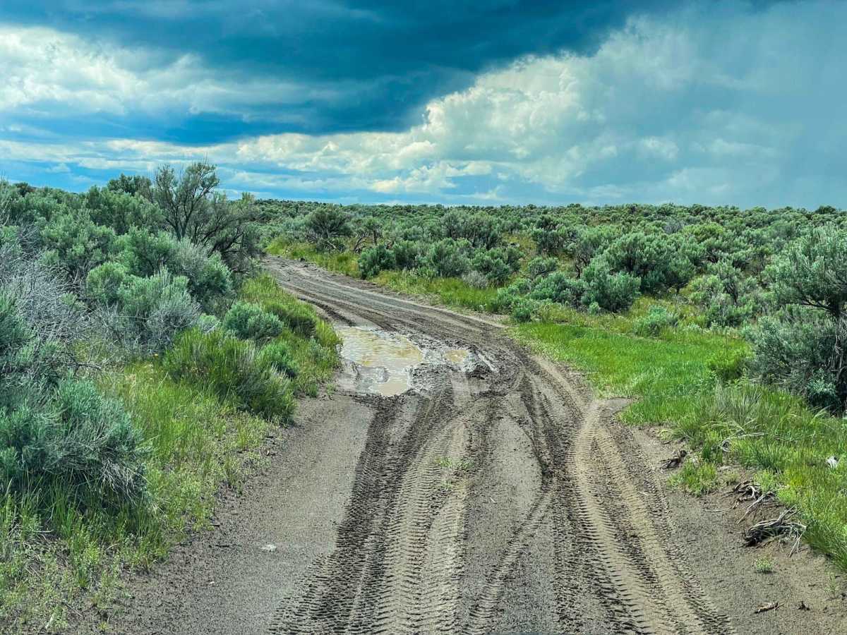 Menan Butte to Market Lake trail photo
