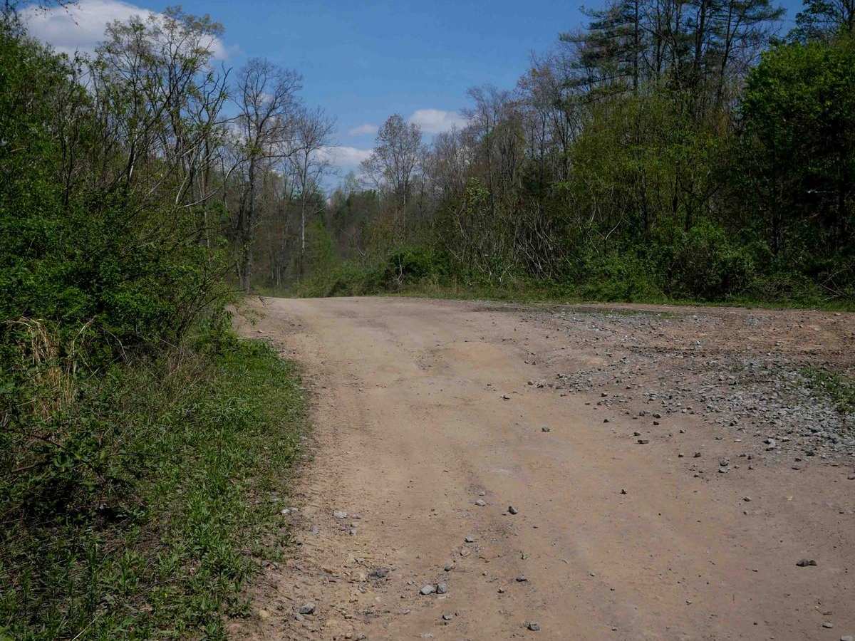 P23 photo 4
