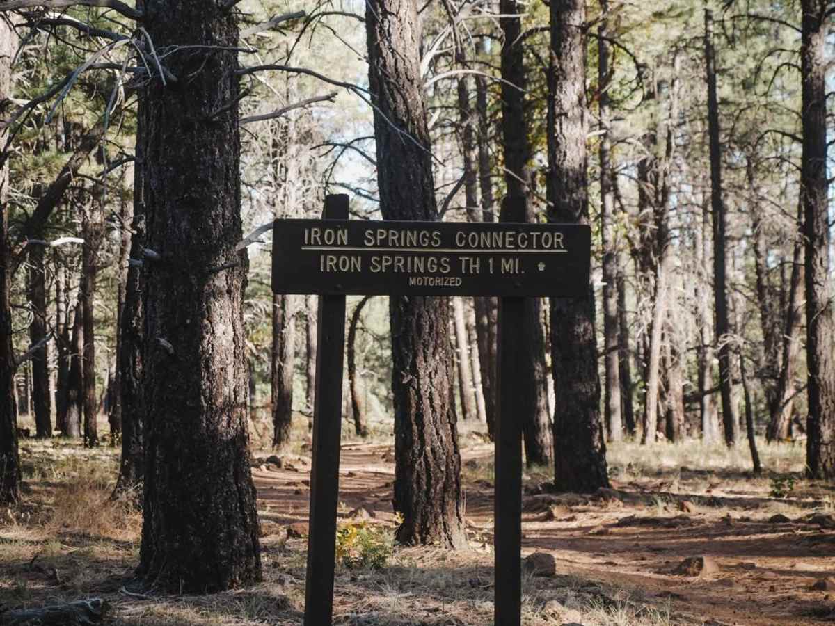Iron Springs Connector photo 6
