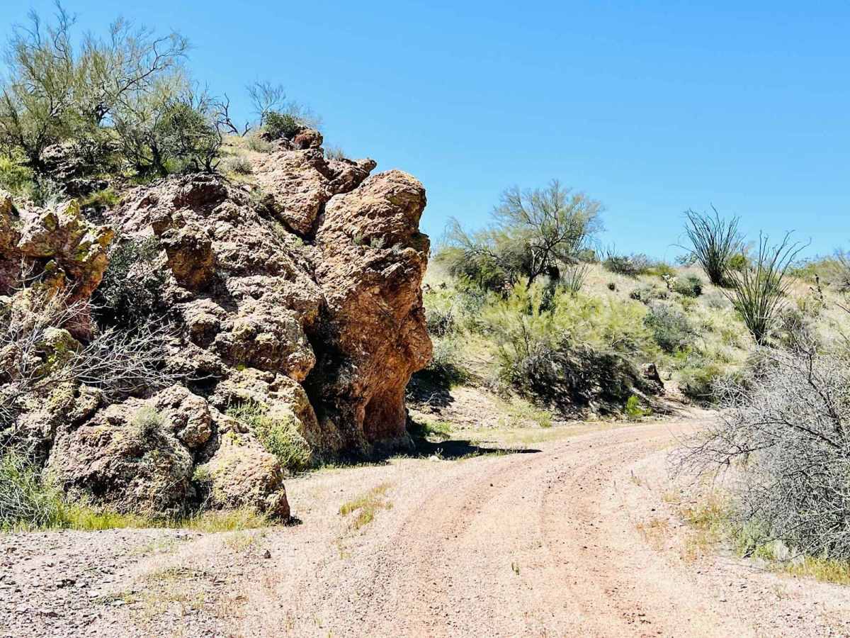 BLM 9064 photo 3