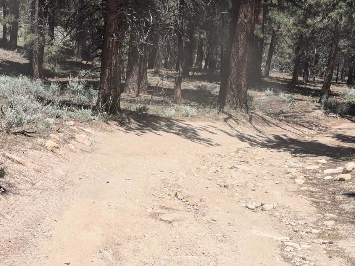 Walker Lake Trailhead photo 3
