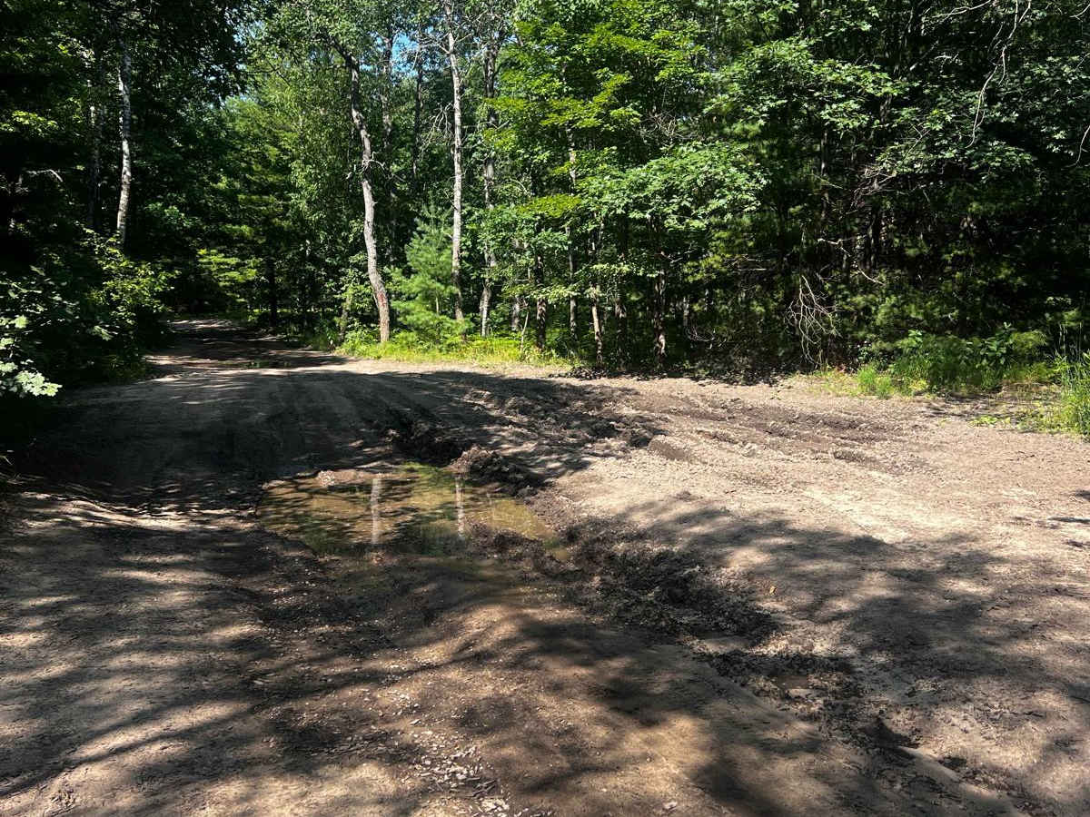River Forest Loop Trail photo 5