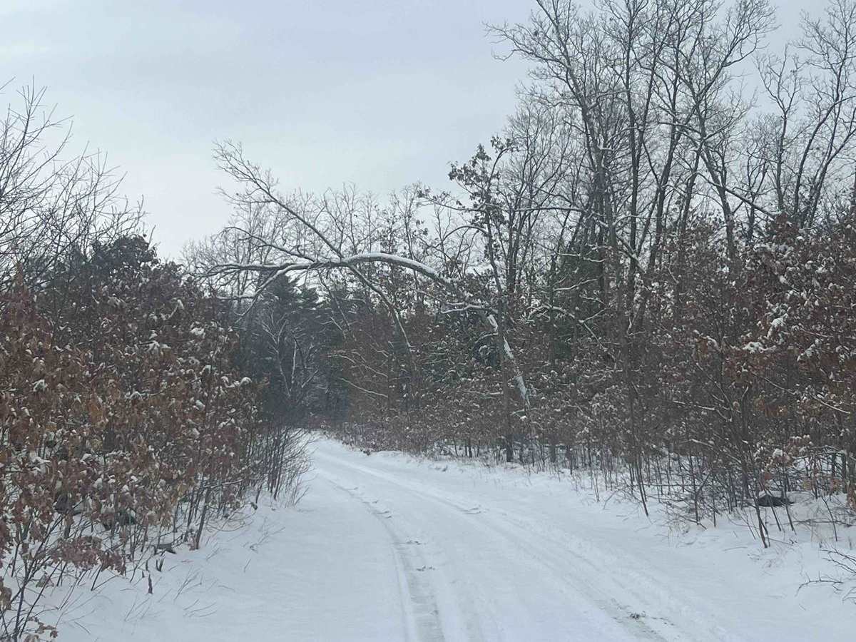 ASG Trail photo 3