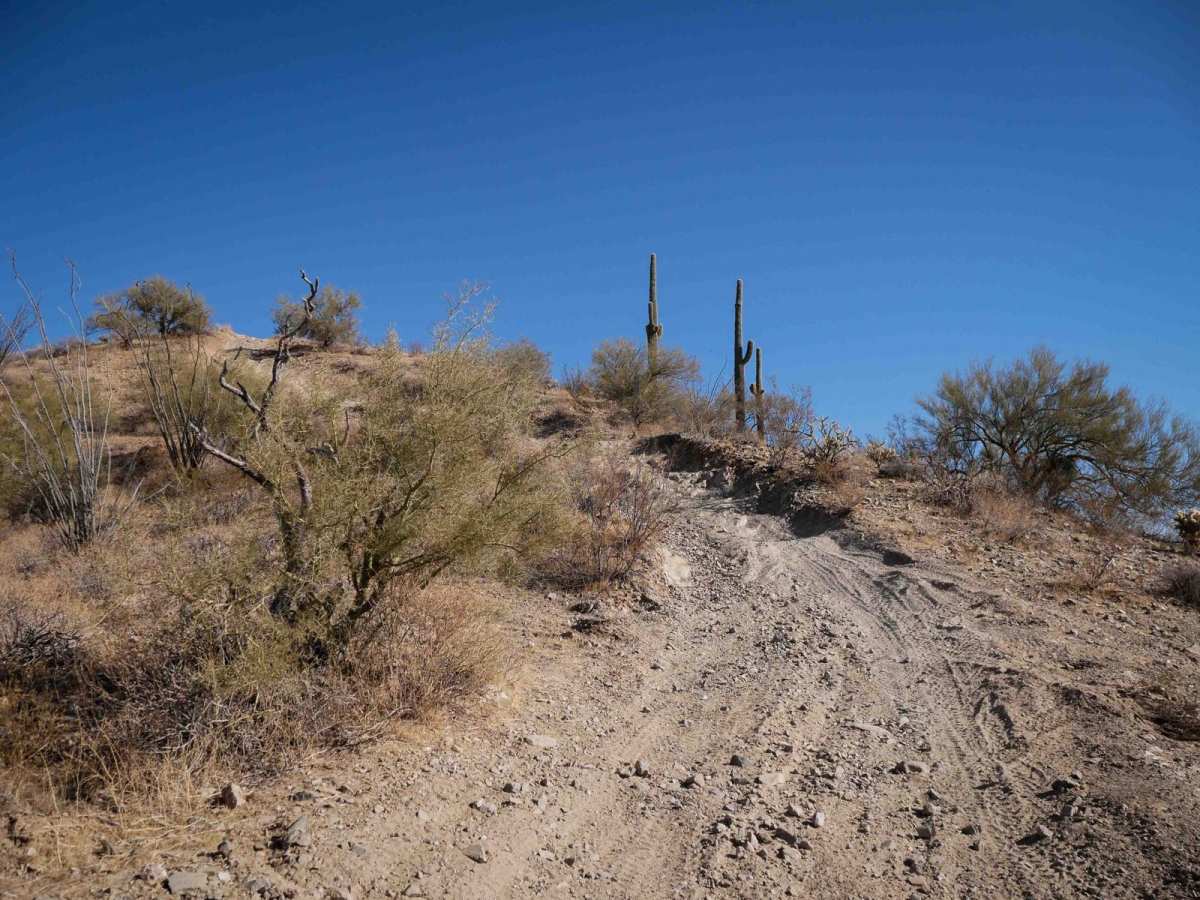 31037 trail photo