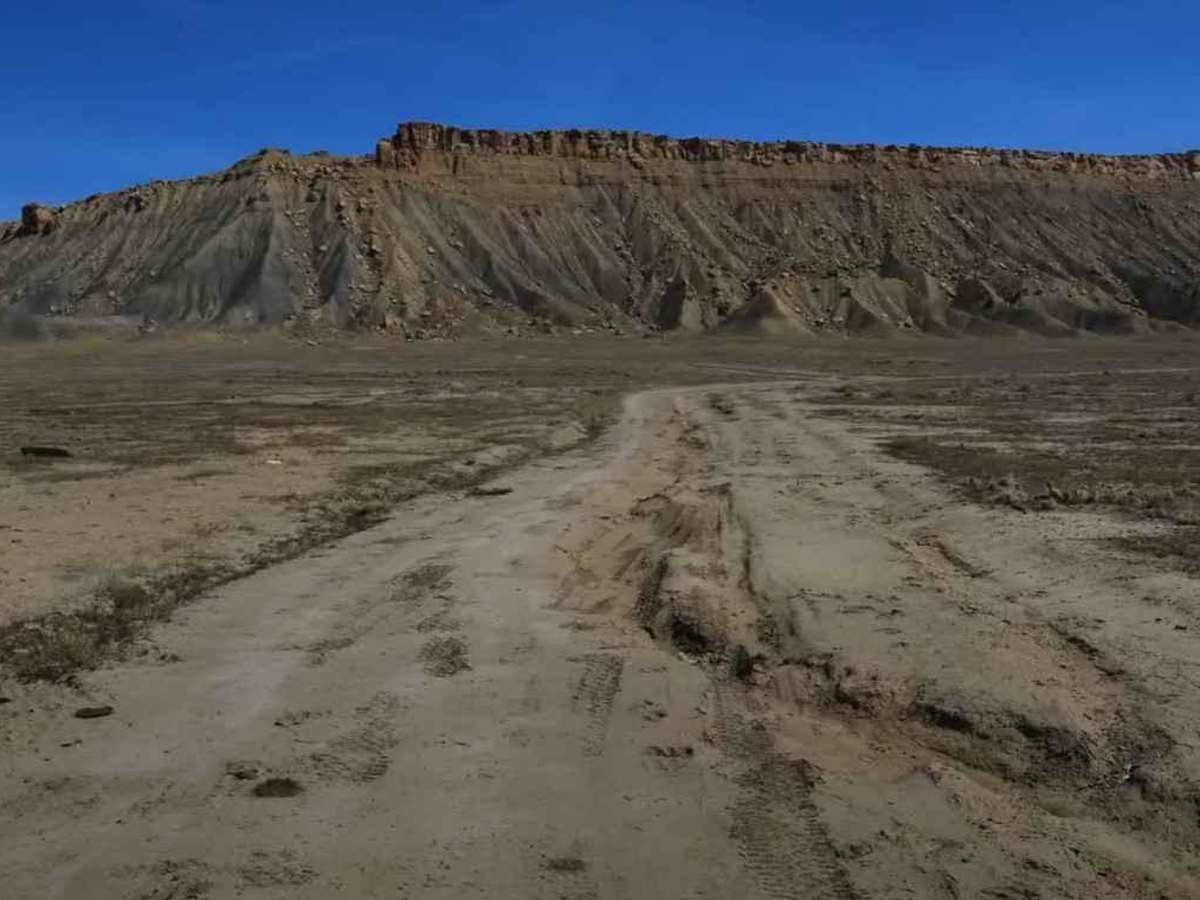 Cresent Wash Petroglyphs photo 5