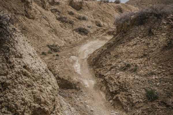 Mystery Ditch