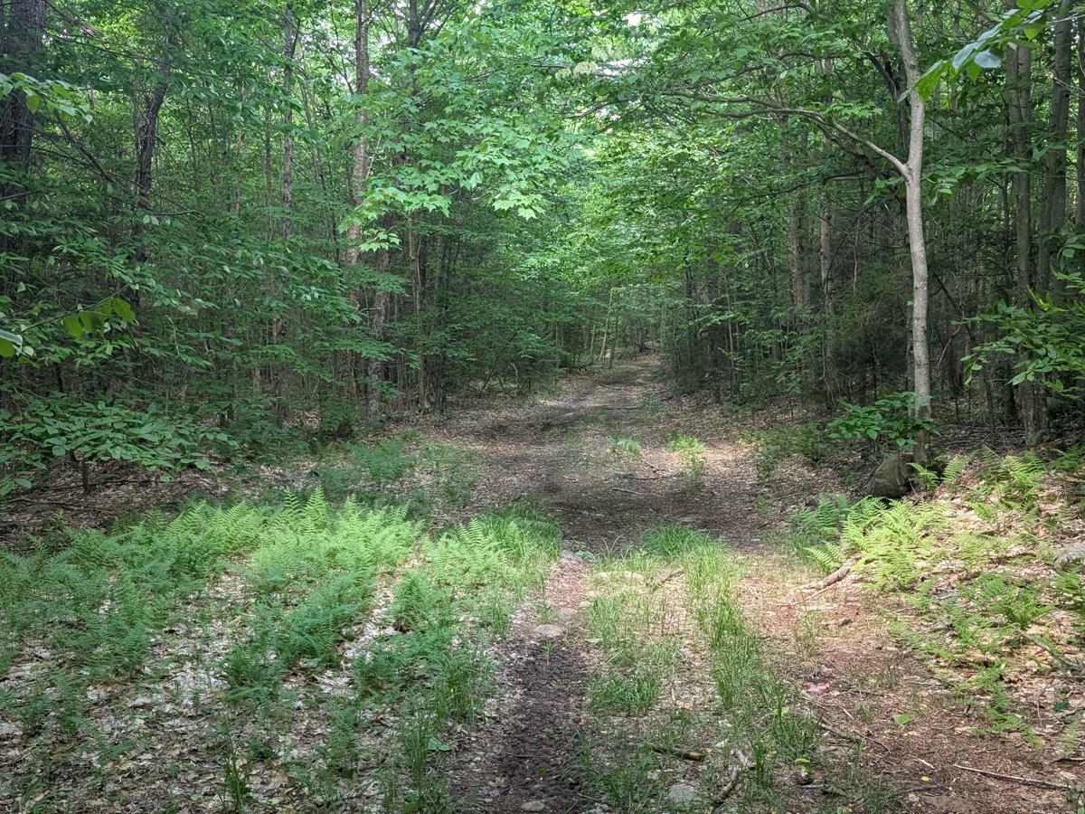 Sellecks Road Loop photo 5