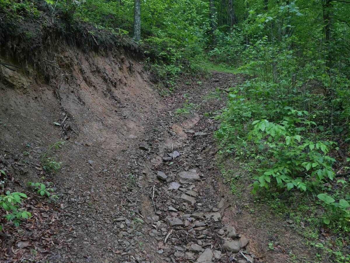 CC68 trail photo