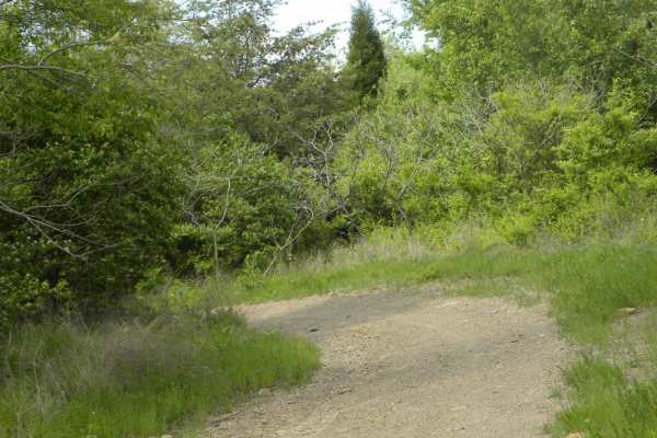 Trail 1A