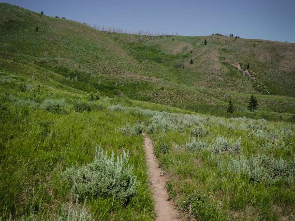 Cow Creek Shortcut photo 5