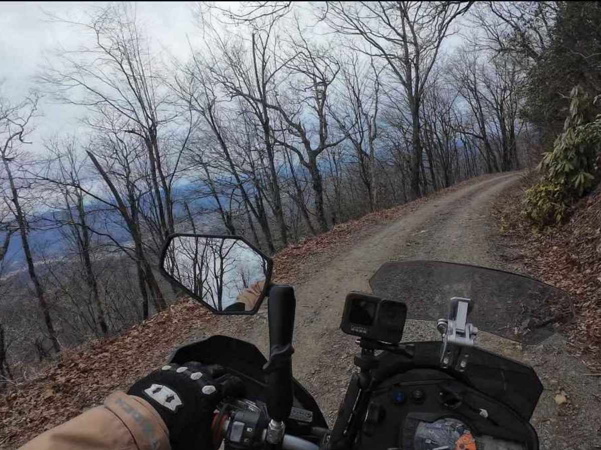 Tatham Gap Road - FS 423 photo 5