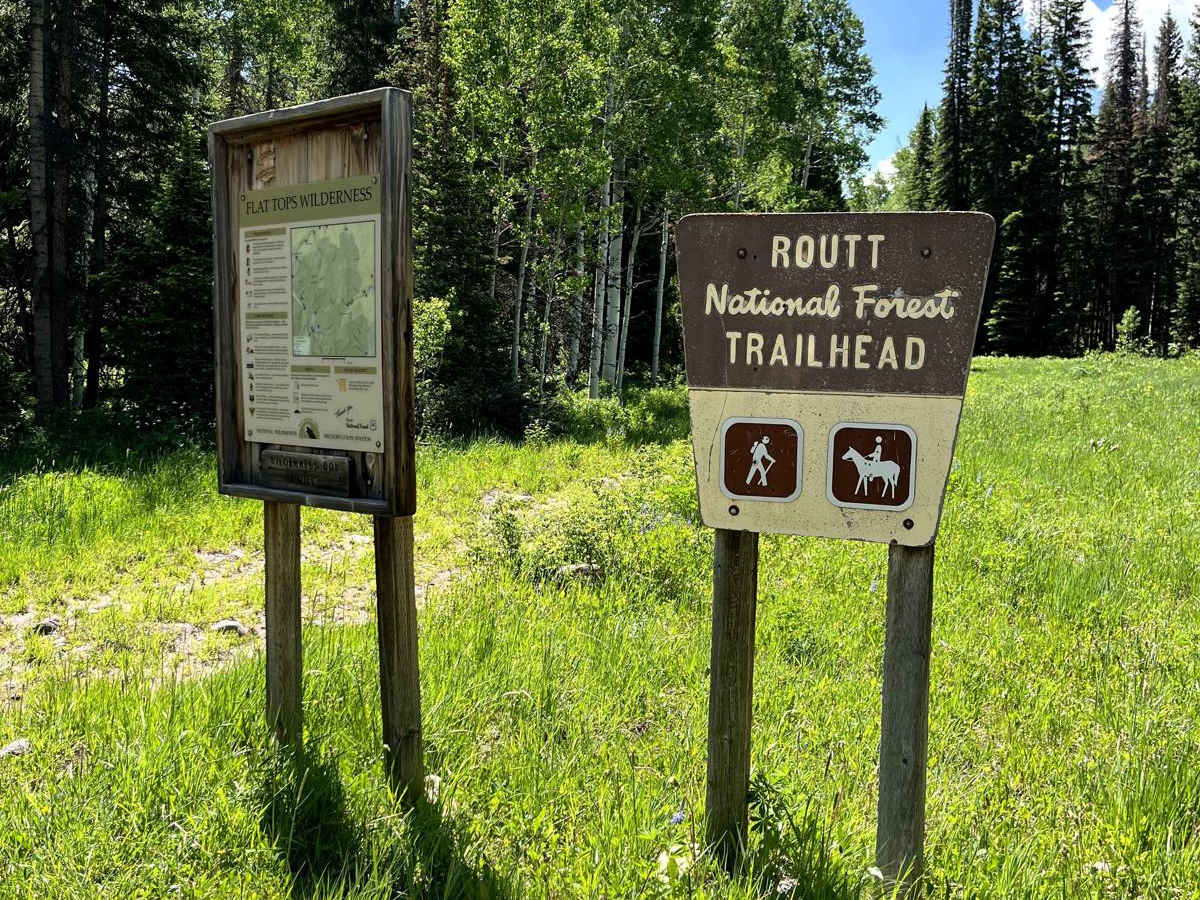 Transfer Road 967.1 trail photo
